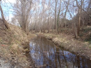 Plan de gestion ripisylve du Lirou